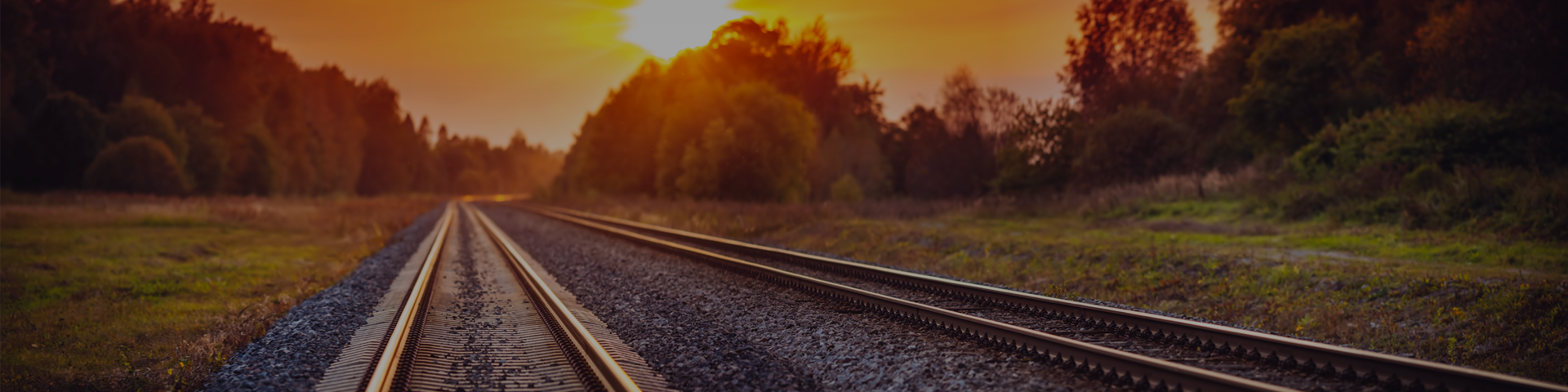 what-connects-train-brain-hero-1920x480